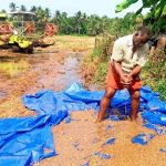 Kuttanad Wetlands Face Soil Toxicity Risk