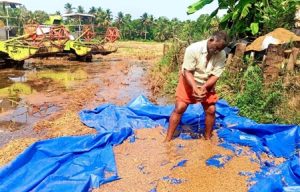Kuttanad Wetlands Face Soil Toxicity Risk
